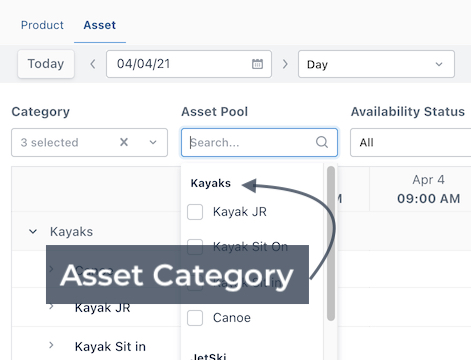 Asset Category