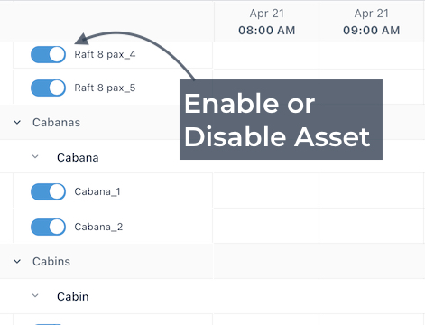 Asset Toggle