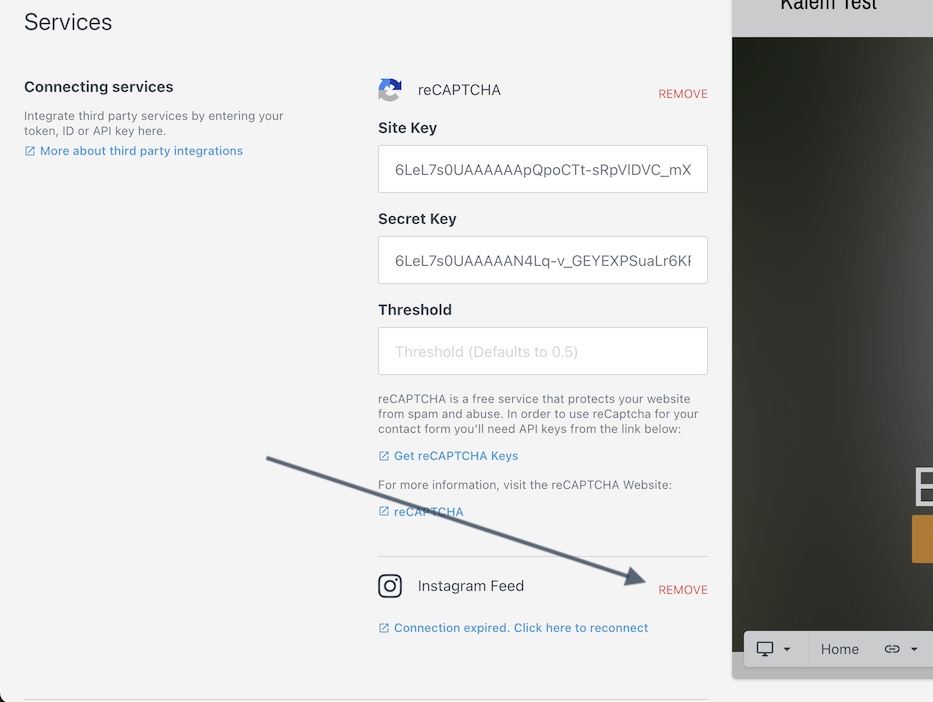Services panel showing reCAPTCHA integration with keys entered and Instagram Feed connection expired message displayed.