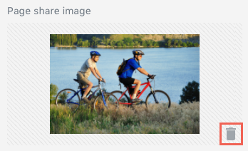 Delete Image