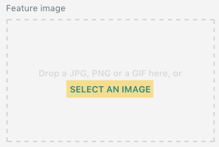 Feature image upload box with option to select an image for the blog post.
