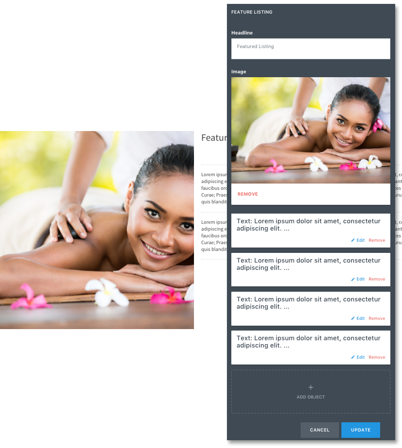 Feature listing editor showing an image, headline, and multiple text sections for a service description.