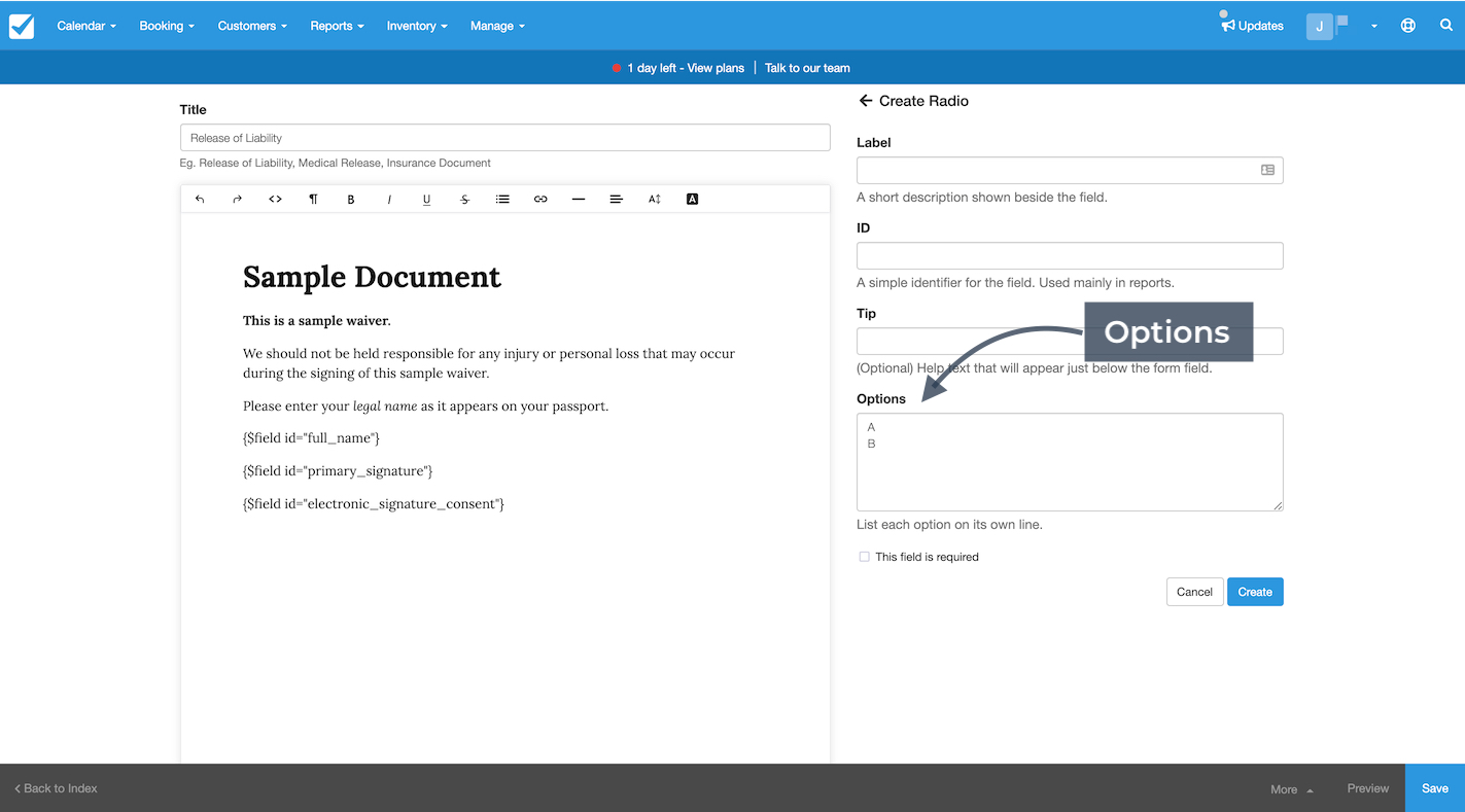 The document editor with the Create Radio panel open showing where to enter option values for the field.