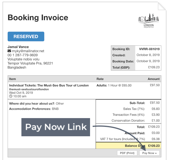 Invoice Options Pay now link